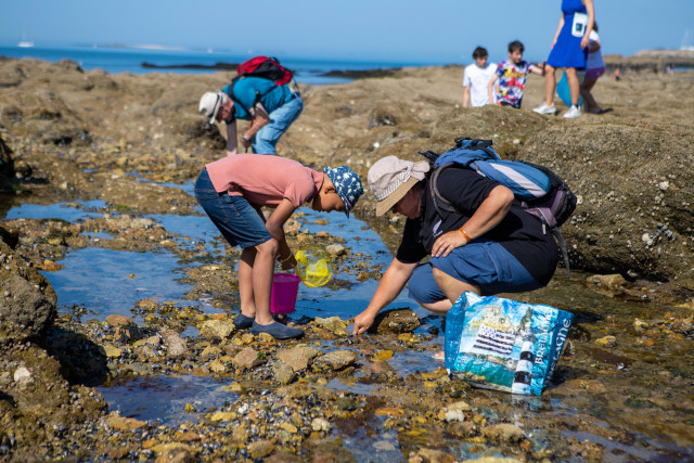 Visite guidée En route pour la pêche à pied